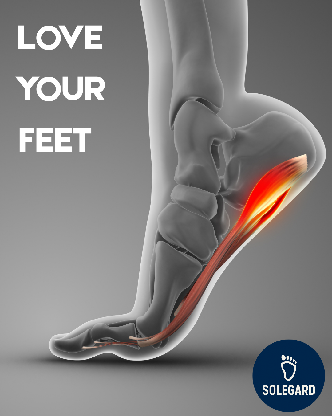 Solegard - Orthopaedic Massage Insoles